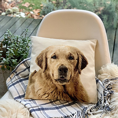 Pour les amoureux des animaux - une douceur qui vous apprivoisera